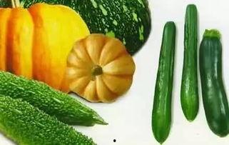 六秋吃瓜,一场味蕾与历史的邂逅