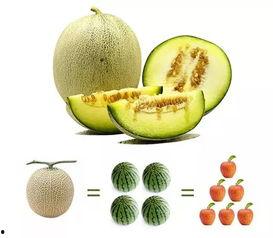 口呼吸吃瓜,揭秘口腔健康与饮食习惯的微妙关系