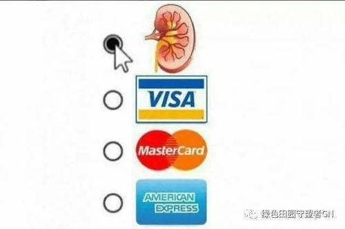 吃瓜群众粤语怎么表达,粤语版“吃瓜群众”趣味解读