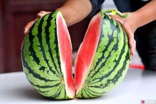 死亡吃瓜,揭秘网络暴力的暗黑面