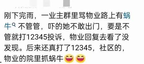 q群吃瓜群,网络社交的另类风景