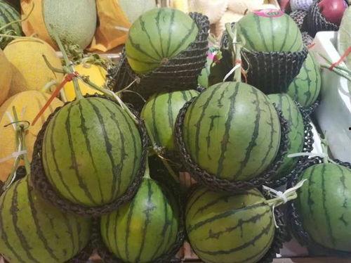 糖人可以吃瓜,糖人甜蜜邂逅瓜果盛宴