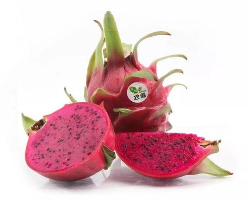 星宿公园吃瓜,瓜田里的欢乐时光