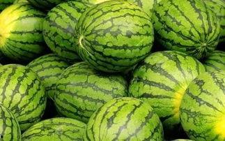 每日大赛52吃瓜,揭秘娱乐圈幕后风云