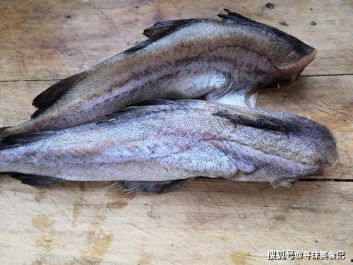 吃八瓜鱼毁容,一场美食盛宴背后的毁容悲剧