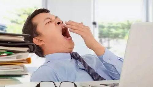 犯困到家的吃瓜视频