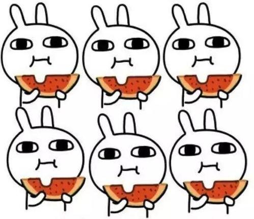 嗷大猫吃瓜图片