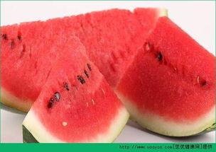 看人家吃海瓜很香,一尝便知其香