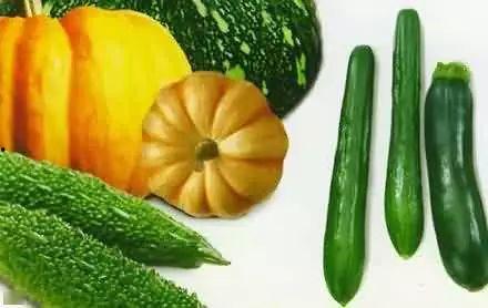 躺赢吃瓜的图片