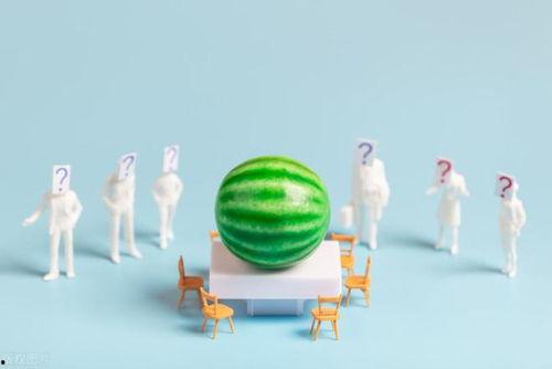 吃瓜怎么总结,吃瓜群众的智慧与乐趣