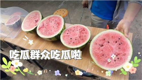 新瓜天天吃瓜,揭秘娱乐圈新鲜事