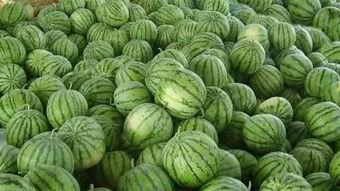 外面吃瓜,揭秘娱乐圈幕后故事