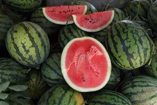 山东两干部吃瓜,山东两干部因吃瓜引发热议