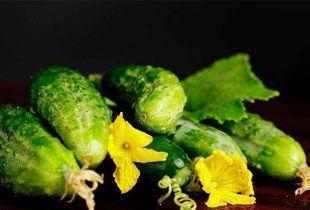 糖人吃白瓜,甜蜜与健康共舞