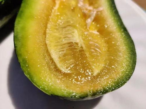 云兰吃瓜网,揭秘娱乐圈最新热点，带你畅游八卦海洋