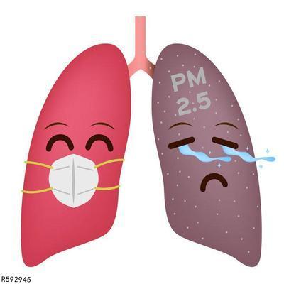 肺炎可以吃网纹瓜嘛,网纹瓜的营养益处与食用建议