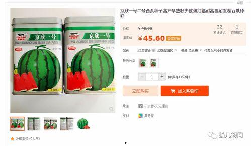 吃瓜网站京,热门话题背后的真相与笑料