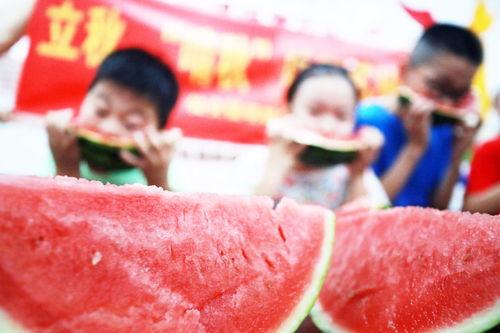 吃瓜活动感想,一场别开生面的吃瓜活动感悟