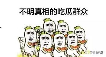 做那个吃瓜群众,网络时代的围观力量