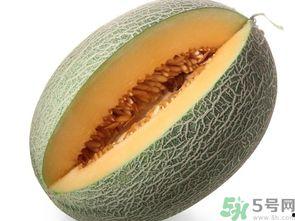 哈密瓜苦了可以吃吗,哈密瓜苦了还能吃吗？揭秘苦哈密瓜的食用之谜