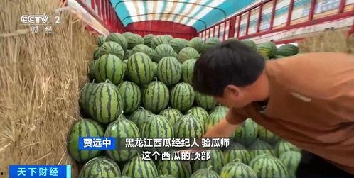 羽毛吃瓜后续,揭秘娱乐圈背后的秘密与真相