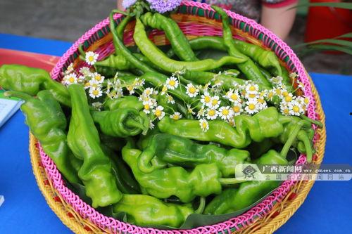 广西碧桂园吃瓜,吃瓜群众见证的社区生活百态