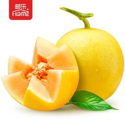 财金吃瓜匠,揭秘财经圈那些不为人知的幕后故事