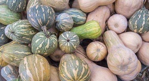 运城女吃瓜,揭秘网络舆论背后的真相与反思