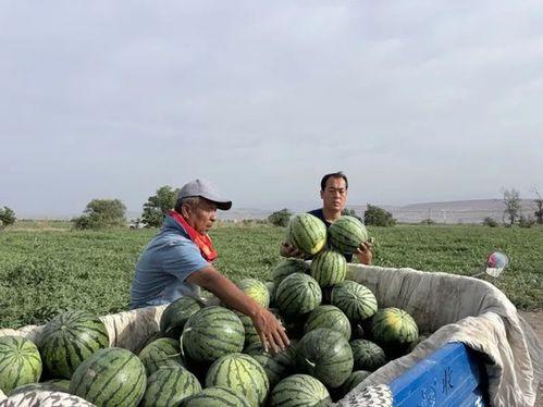 吃瓜巩义,探寻这座古城的美食与风情