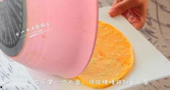 安静的吃瓜滤纸,安静吃瓜滤纸的奇妙之旅