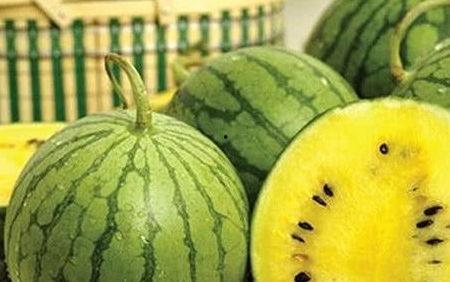 小瓜的瓜心可以吃吗图片,可食用之谜