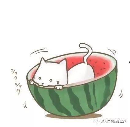 动漫的吃瓜头像,揭秘二次元世界的趣味瞬间