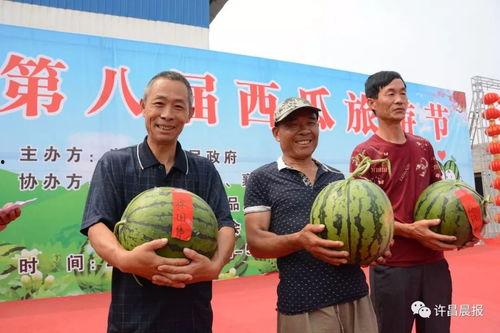 许昌小区吃瓜,一场吃瓜盛宴背后的邻里温情