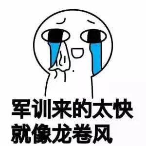 太军吃瓜,揭秘军营里的欢乐时光