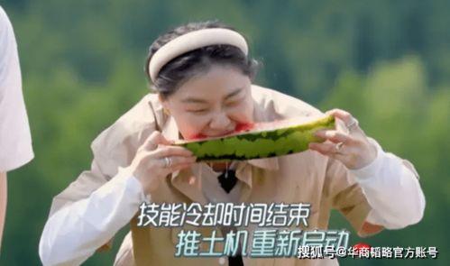 吃瓜背后发冷,揭开网络舆论的冰层真相