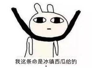 吃瓜背后发冷,揭开网络舆论的冰层真相