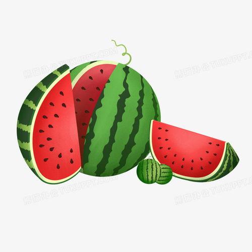 熊猫吃瓜素材图片,瓜果飘香，萌态可掬