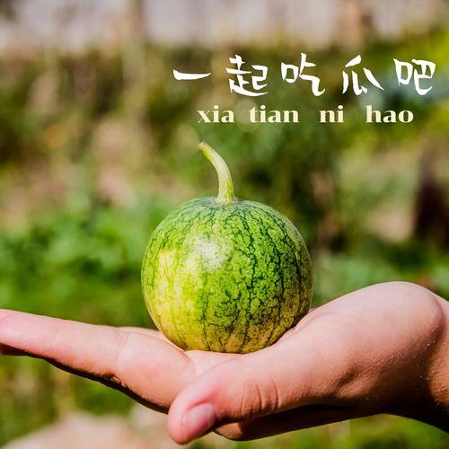 星河一品 吃瓜,揭秘娱乐圈的“吃瓜”风云