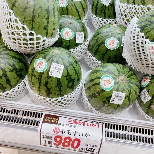 仙修吃瓜,吃瓜群众揭秘仙修秘闻