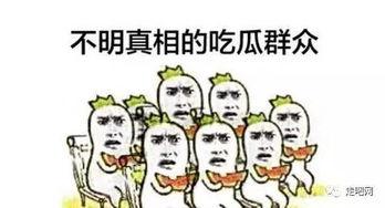 三观颠覆吃瓜群众,揭秘娱乐圈惊天大瓜，吃瓜群众惊呼不已！