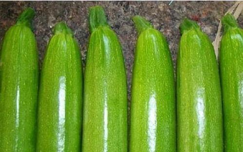 玉米和白瓜可以一起吃吗,健康搭配，美味共享