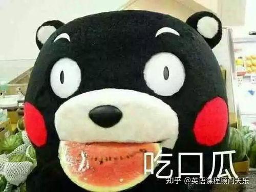 吃瓜的英文是什么,揭秘“吃瓜群众”背后的英文表达