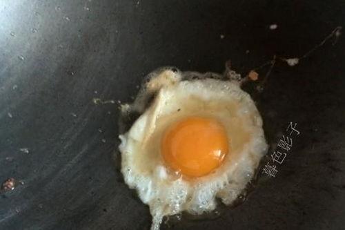 晚饭天天吃小乳瓜,健康美味新选择