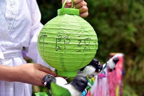 七夕 吃瓜,吃瓜群众揭秘浪漫背后的甜蜜秘密