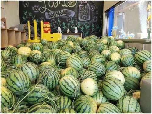 最普通的吃瓜,一场全民参与的“瓜界盛宴”