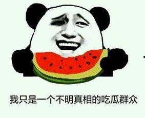 吃瓜 打电话,揭秘电话背后的八卦风云