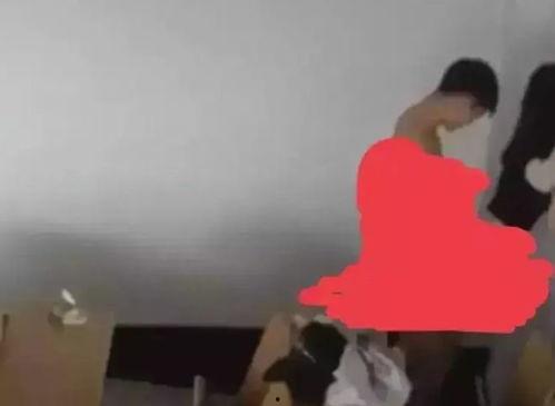 高效吃瓜事件,网络热事背后的狂欢与反思