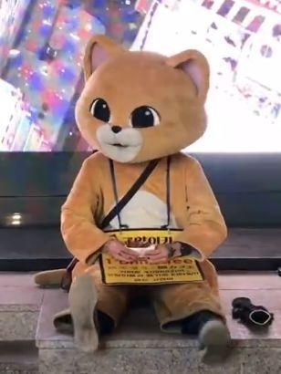 布偶吃贝贝瓜,一场甜蜜的邂逅