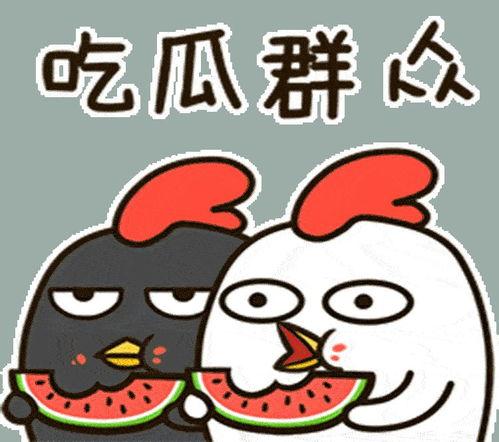 当面吃瓜,揭秘娱乐圈的“吃瓜”风云