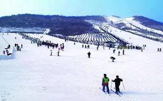 大连滑雪吃瓜,冬日里的吃瓜盛宴